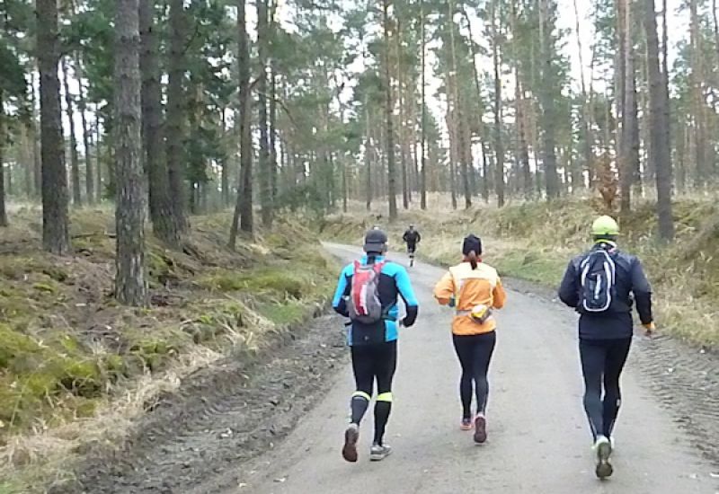 Ludwig-Leichhardt-Trail Ultralauf