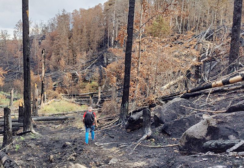 Waldbrand in der Richterschlüchte